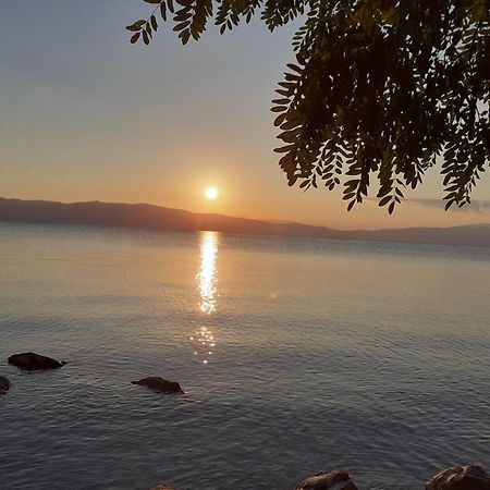 Guesthouse Zimovski เปสตานิ ภายนอก รูปภาพ